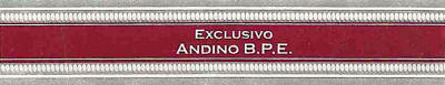 RE Andino B. P. E. band