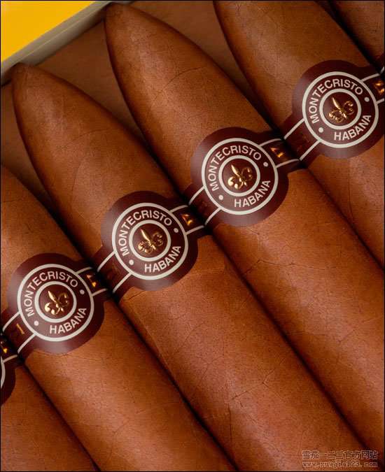 Montecristo Petit No2