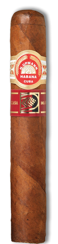 Royal Robusto