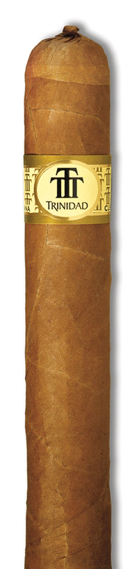 Robusto T