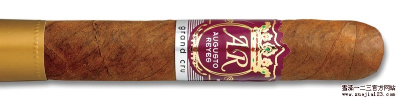 Augusto Reyes Gran Cru Robusto 雪茄评分