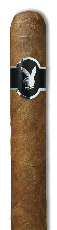 Robusto