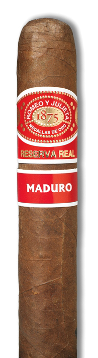 Robusto