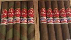 Antillian 的新款 Macabi USA 庆祝 50 周年