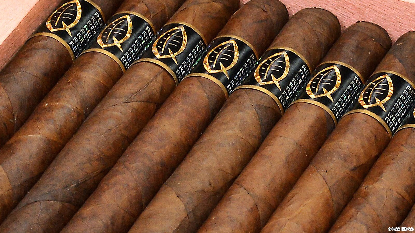 克萨达推出珍藏Privada Oscuro