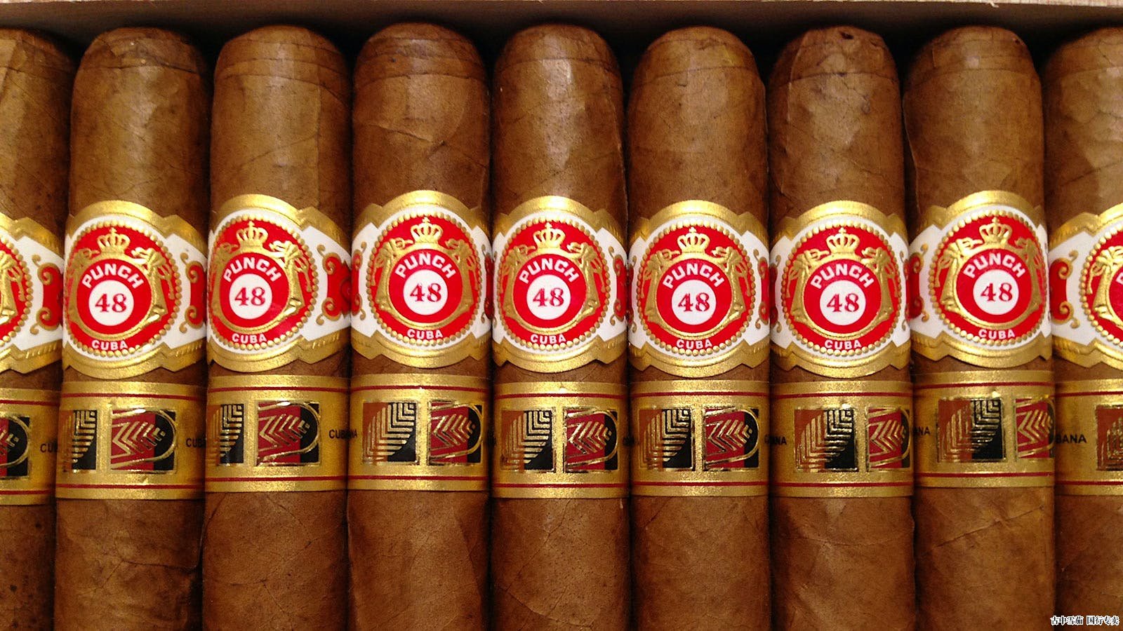 Punch Punch 48 专为 Casa Del Habano 和 Habanos Specialists 推出