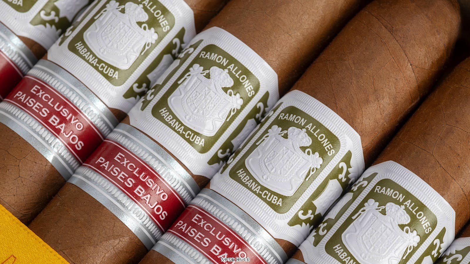 来自古巴的区域版 Ramon Allones 登陆荷兰