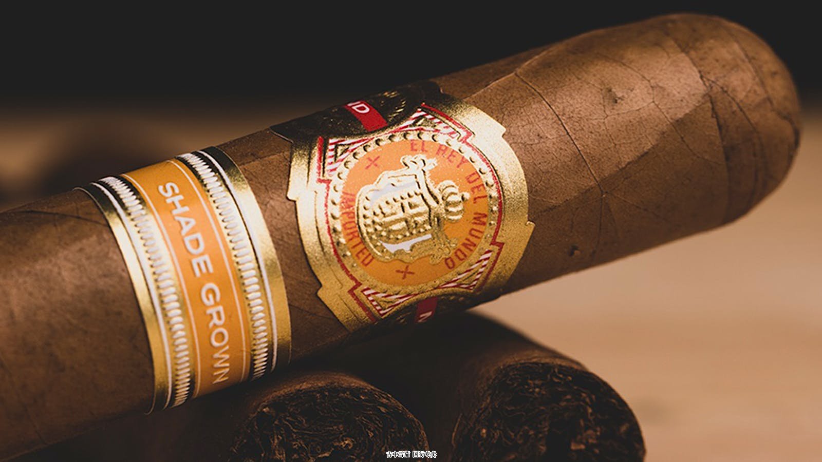 El Rey Del Mundo 陷入阴影