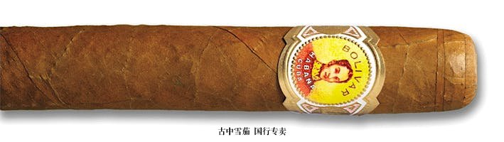 Bolivar Royal Corona 