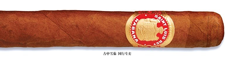 Saint Luis Rey Regios