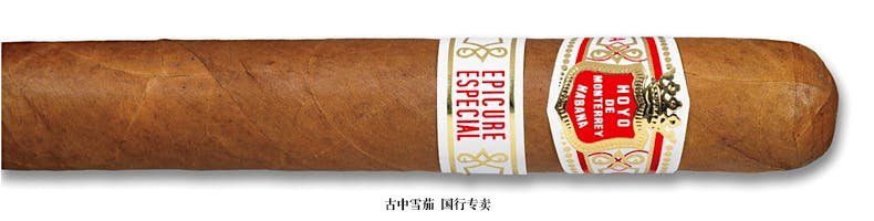 Hoyo de Monterrey Epicure Especial Tubo