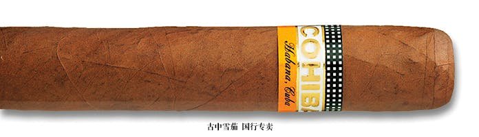 Cohiba Robusto