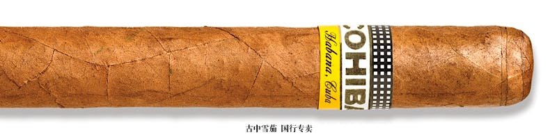 Cohiba Siglo V