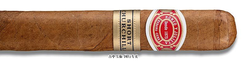 Romeo y Julieta Short Churchill 