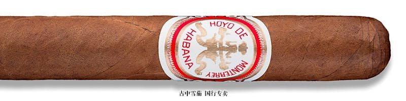 Hoyo de Monterrey Double Corona