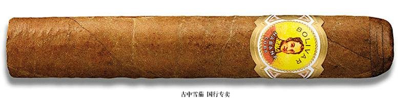 Bolivar Royal Corona (Tubo)