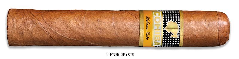 Cohiba Robusto 