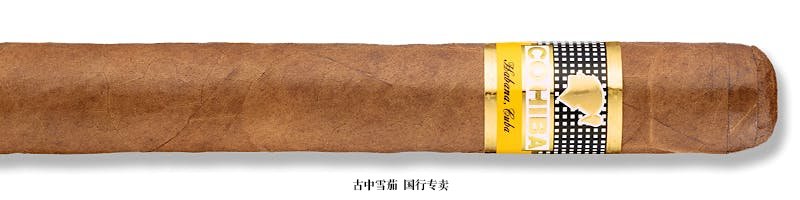 Cohiba Siglo VI