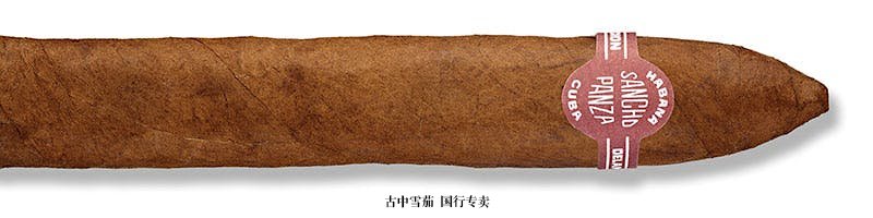 Sancho Panza Belicoso