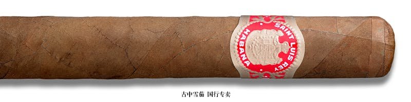 Saint Luis Rey Regios