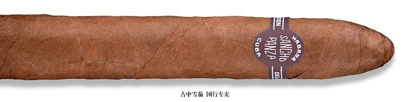 Sancho Panza Belicoso