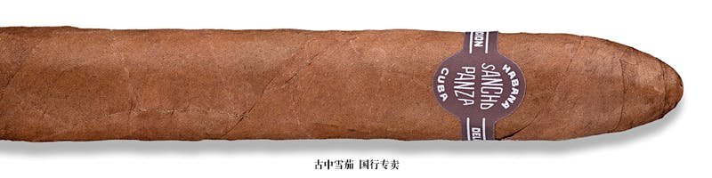 Sancho Panza Belicoso