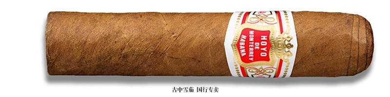 Hoyo de Monterrey Petit Robusto