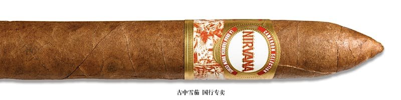 Nirvana Cameroon Selection Torpedo