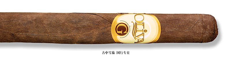 Oliva Serie G Maduro Presidente