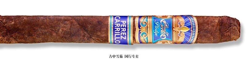 E.P. Carrillo Pledge Lonsdale Limitada