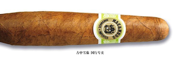 Macanudo Café Diplomat