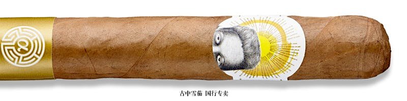 Archetype Dreamstate Robusto