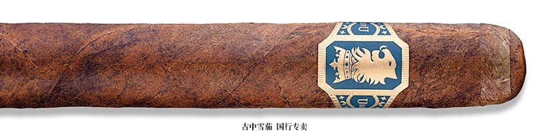 Undercrown Gordito