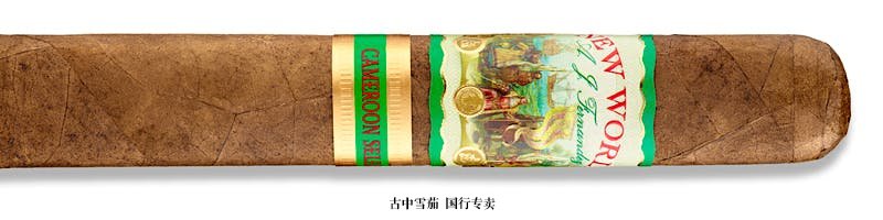 New World Cameroon Selection Gordo