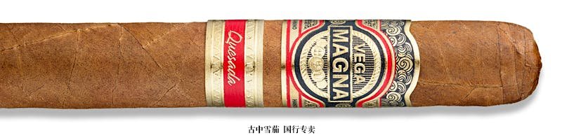 Vega Magna Robusto