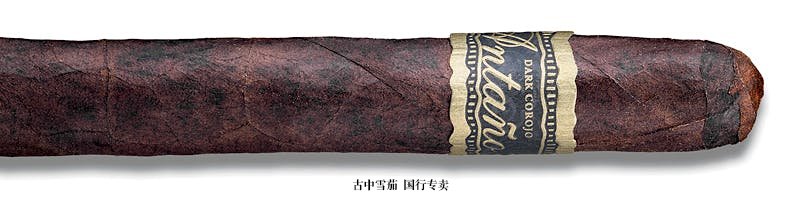 Joya de Nicaragua Antaño Dark Corojo Peligroso