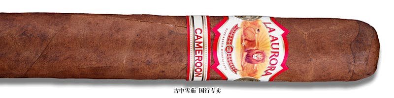 La Aurora 1903 Cameroon Gran Toro