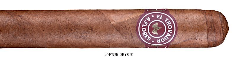 El Trovador Robusto