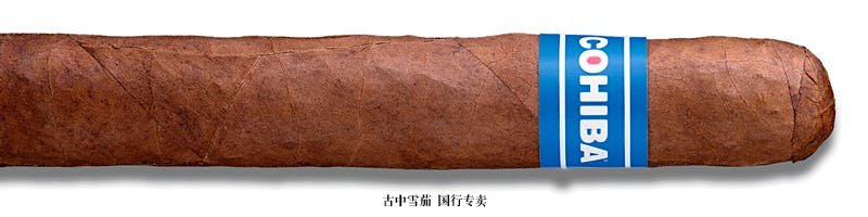 Cohiba Blue Robusto