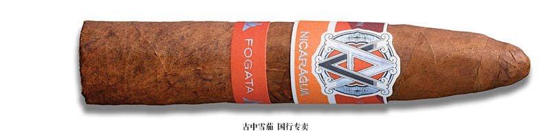 Avo Syncro Nicaragua Fogata Short Torpedo