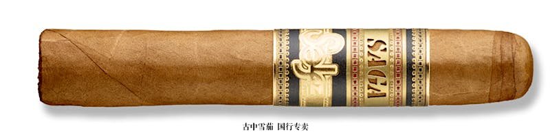 Saga Solaz Robusto