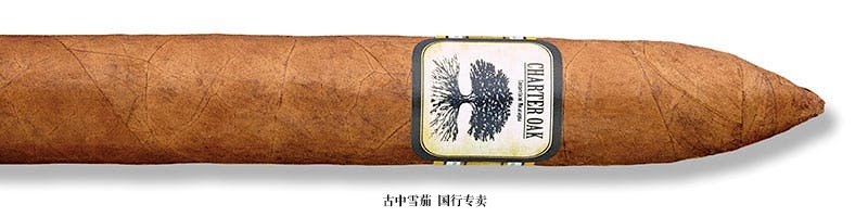 Charter Oak Habano Torpedo