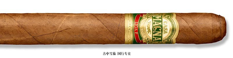 Casa Magna Liga F Churchill