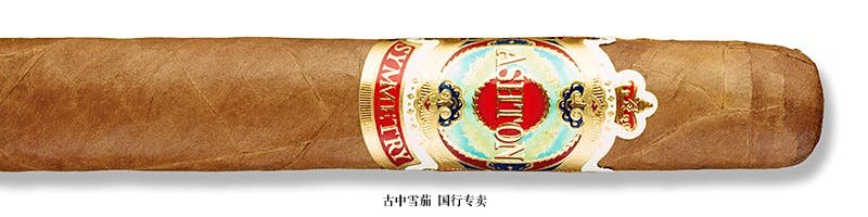 Ashton Symmetry Robusto