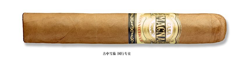 Casa Magna Connecticut Robusto