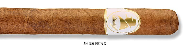 Davidoff Winston Churchill Petit Corona