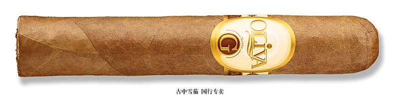 Oliva Serie G Double Robusto