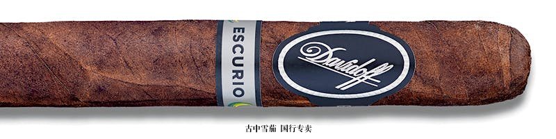 Davidoff Escurio Corona Gorda