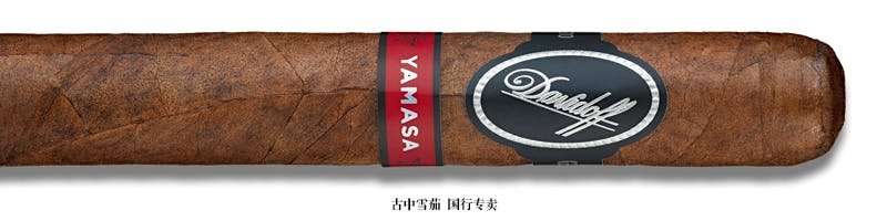 Davidoff Yamasá Robusto