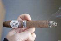 DAVIDOFF雪茄全品类评测 2024-2025 halfwheel